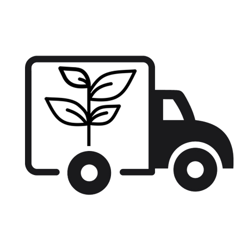 Shipping and Delivery