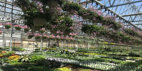 On Plastics at Peace Tree Farm