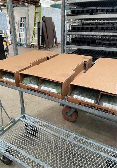 Shipping - 102TrayBox