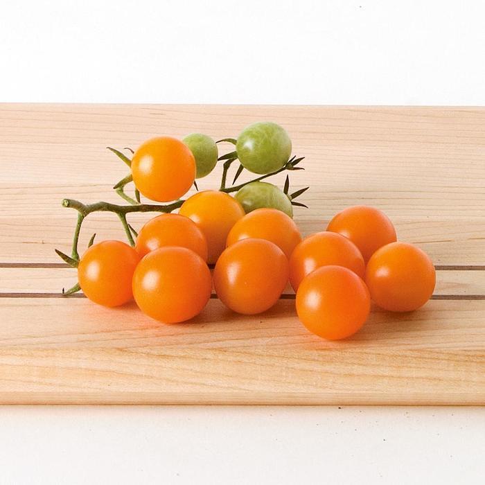 Solanum lycopersicon Sungold